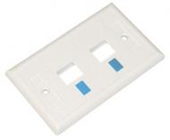 Wall Plate 2 Hole