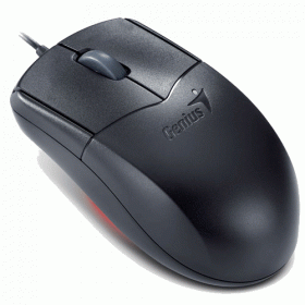 Genius NetScroll 310x optical mouse, 1200dpi, [31010104101]